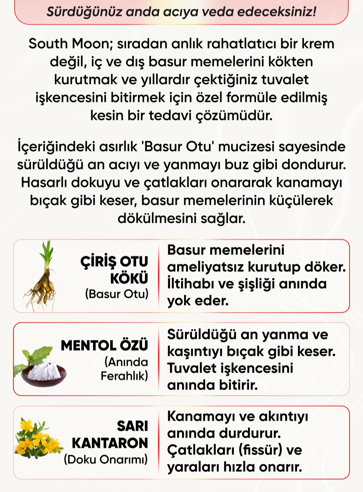 Promotional Imasge 1